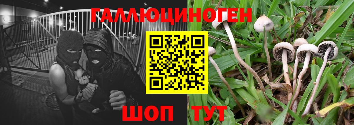 Галлюциногенные грибы мицелий Ковров