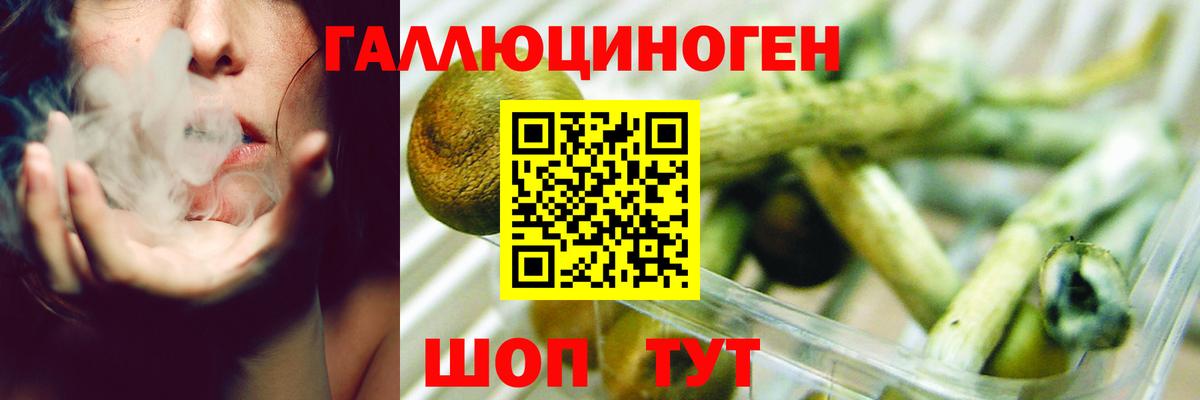 Ковров  Галлюциногенные грибы Magic Shrooms  Вход с VPN 